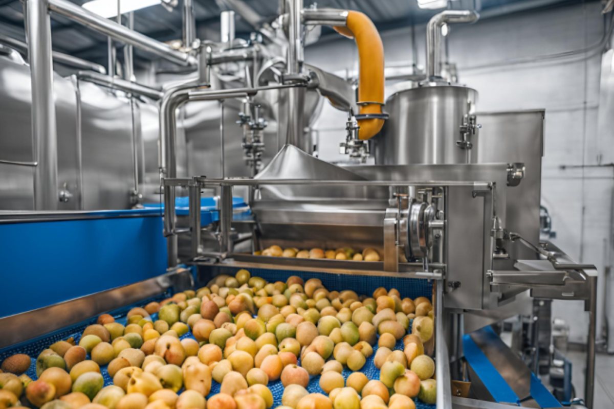 Mango Processing